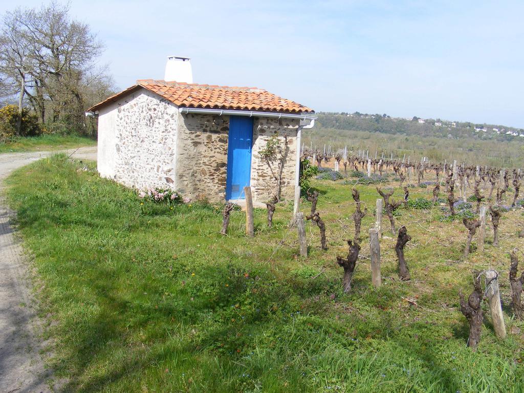 Chambres D'Hotes Vignes Et Loire Drain Room photo